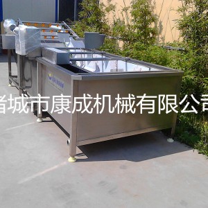 商用小型氣泡洗菜機專業仿手工全自動果蔬蔬菜清洗機廠家直銷