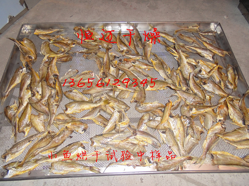 小魚烘干樣品