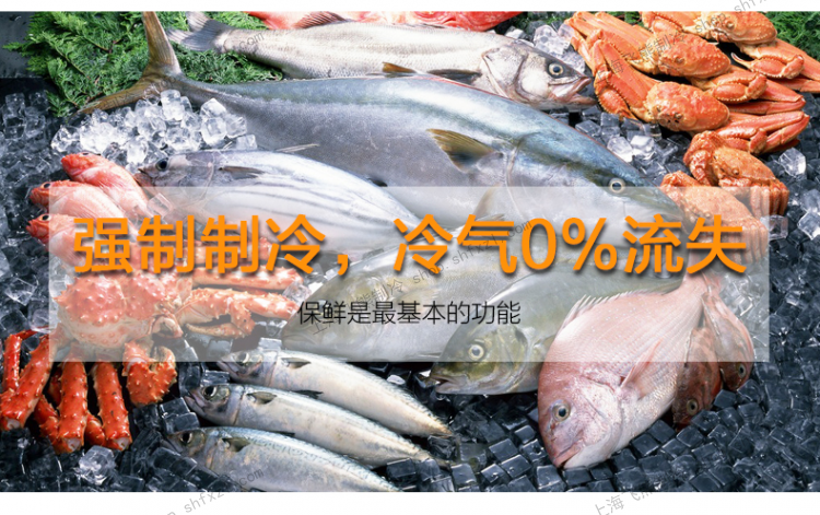 冰柜商用臥式冷藏冷凍單溫雙門頂開家用大冷柜大容量全銅管節能