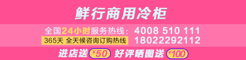 冷鮮肉凍丸子食品展示冰柜冷柜單溫風冷冷凍柜餃子柜